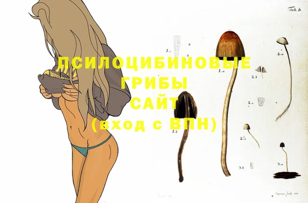 трава Армянск