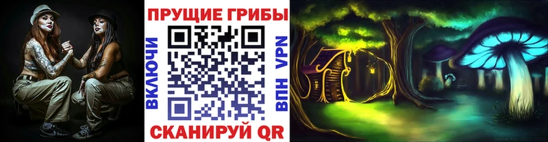 ОМГ ОМГ   где продают   Балашиха  Псилоцибиновые грибы GOLDEN TEACHER 