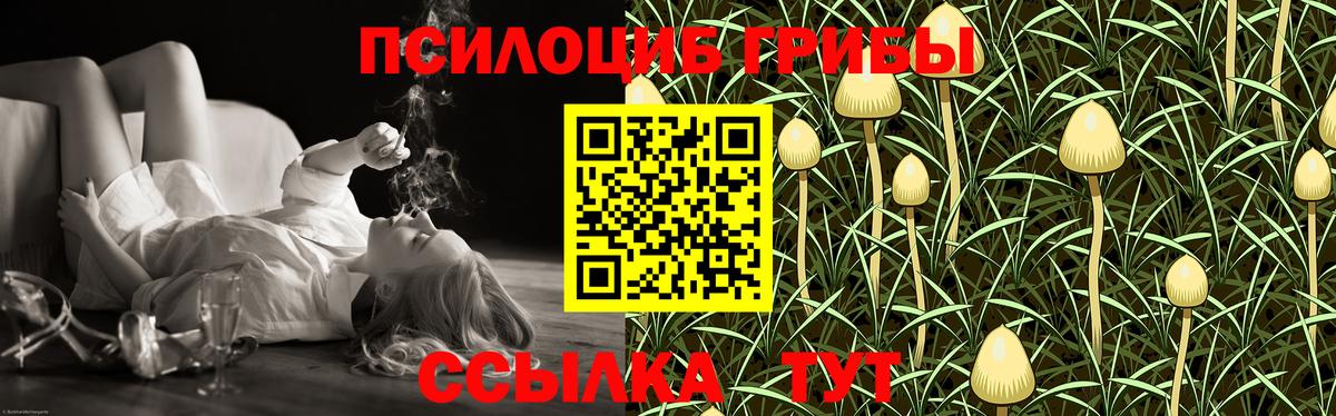Псилоцибиновые грибы Psilocybine cubensis Балашиха