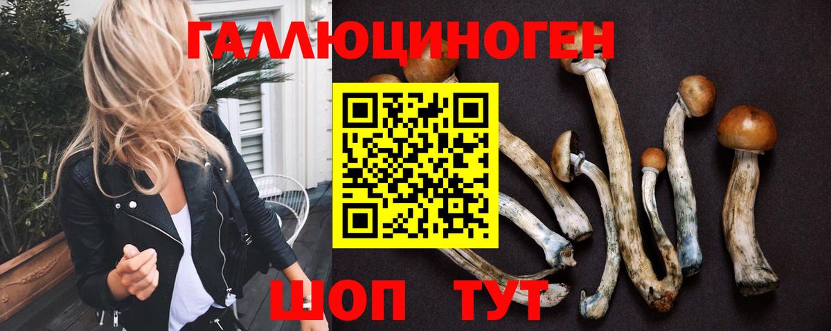 Псилоцибиновые грибы ЛСД  купить наркоту  Балашиха 