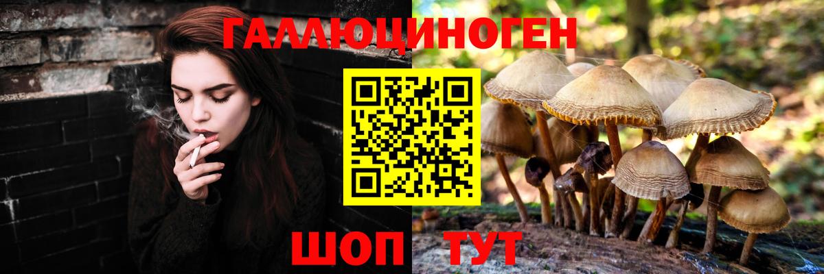Галлюциногенные грибы ЛСД  где найти   Балашиха  Вход с VPN 